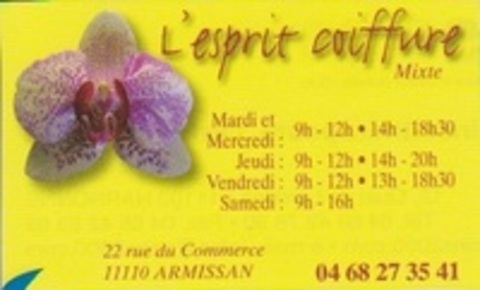 L'ESPRIT COIFFURE