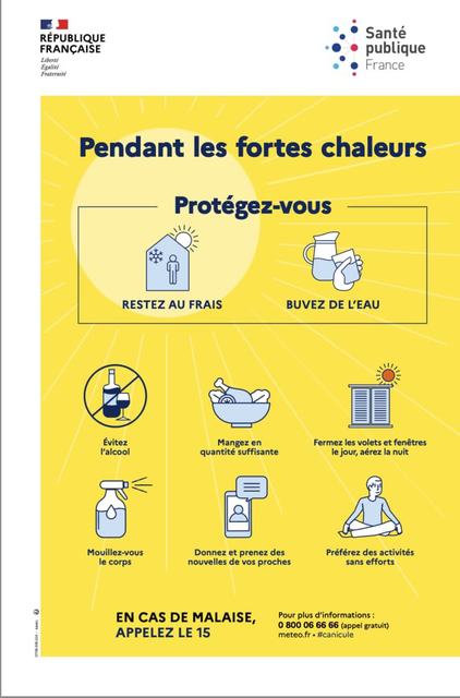 [CANICULE] Adoptez les bons réflexes